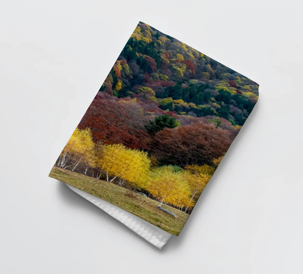 Colourful trees in a forest on a mountain torchon de anderm