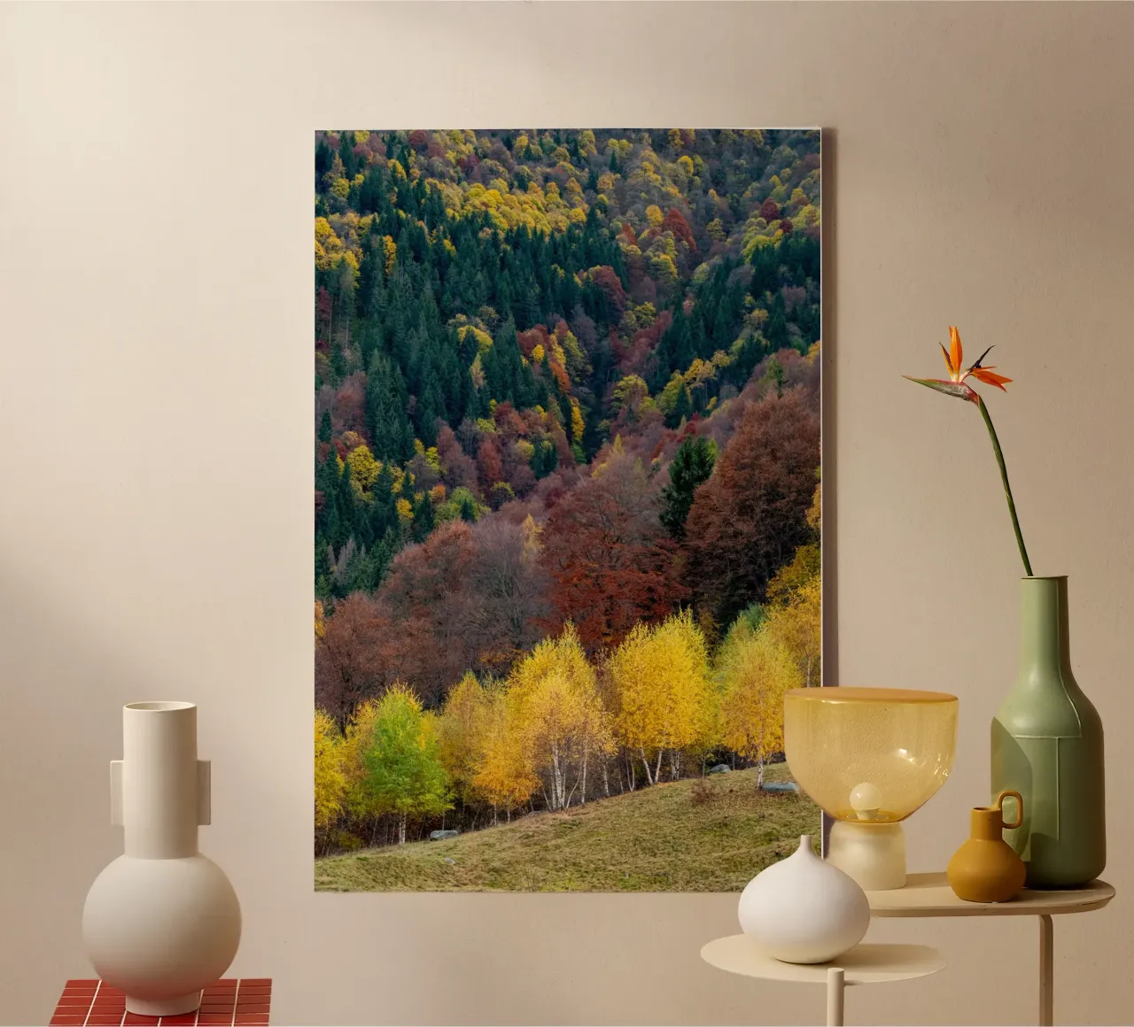Colourful trees in a forest on a mountain tela da anderm