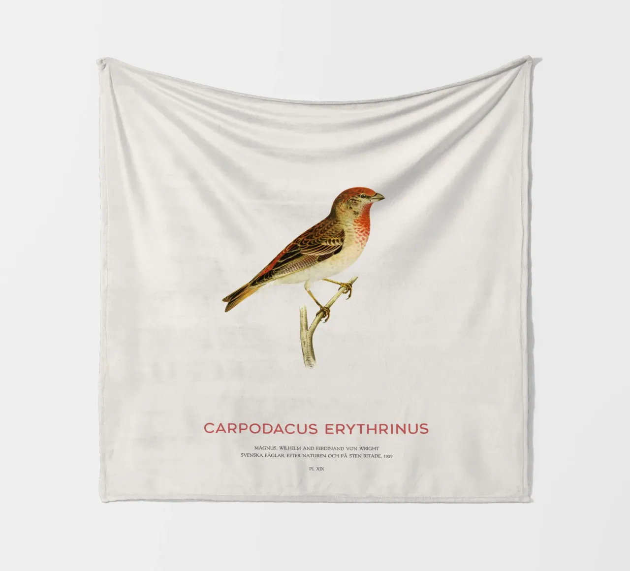 Scharlachrosengimpel oder Carpodacus Erythrinus Fleecedecke von Vintagrafica