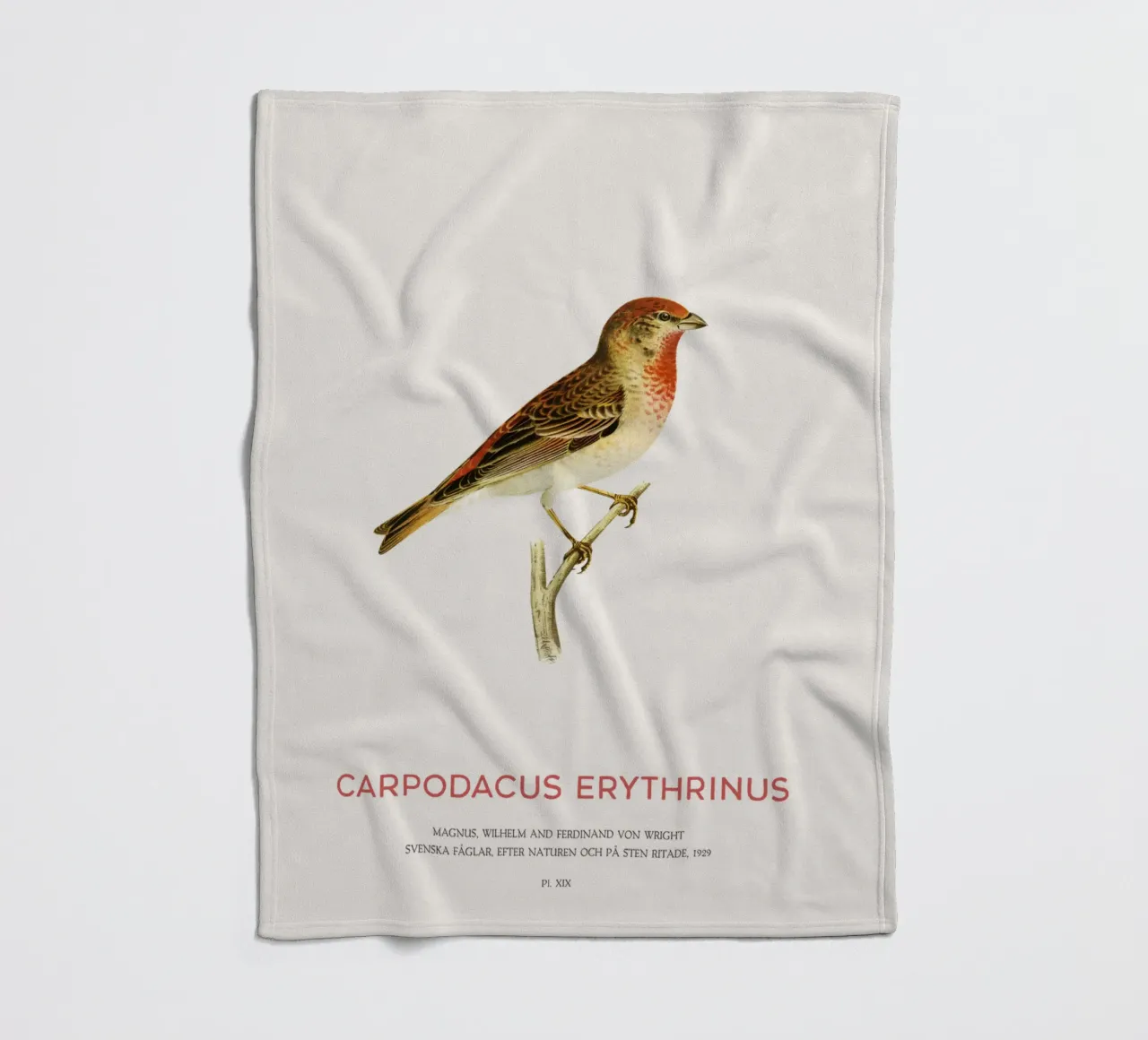 Scharlachrosengimpel oder Carpodacus Erythrinus Fleecedecke von Vintagrafica