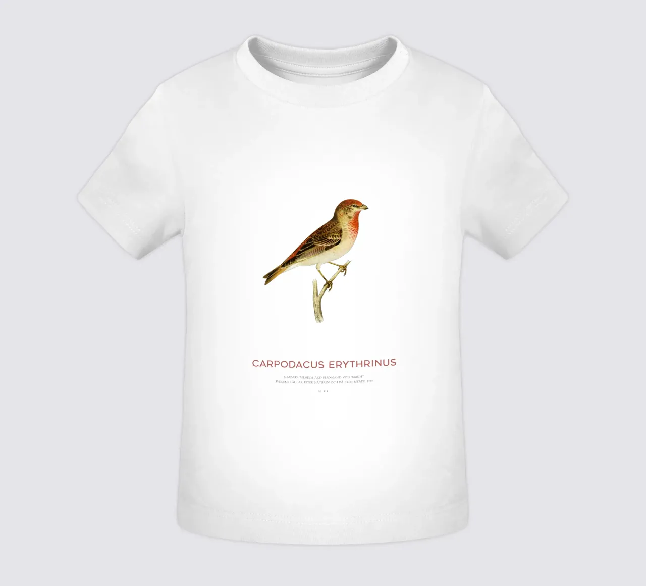 Scharlachrosengimpel oder Carpodacus Erythrinus Baby T-Shirt von Vintagrafica