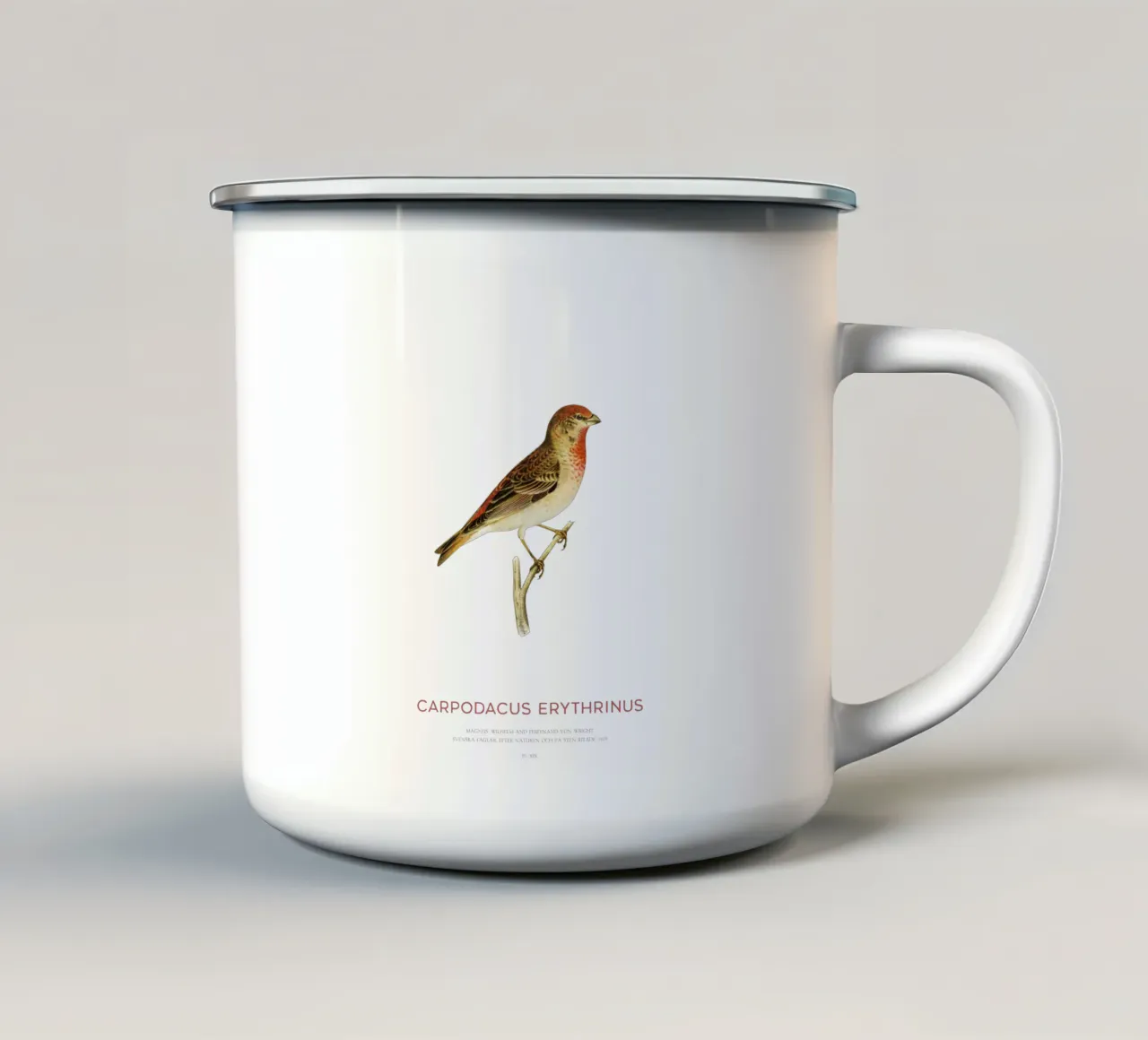 Rosone scarlatto o Carpodacus Erythrinus tazza in smalto da Vintagrafica