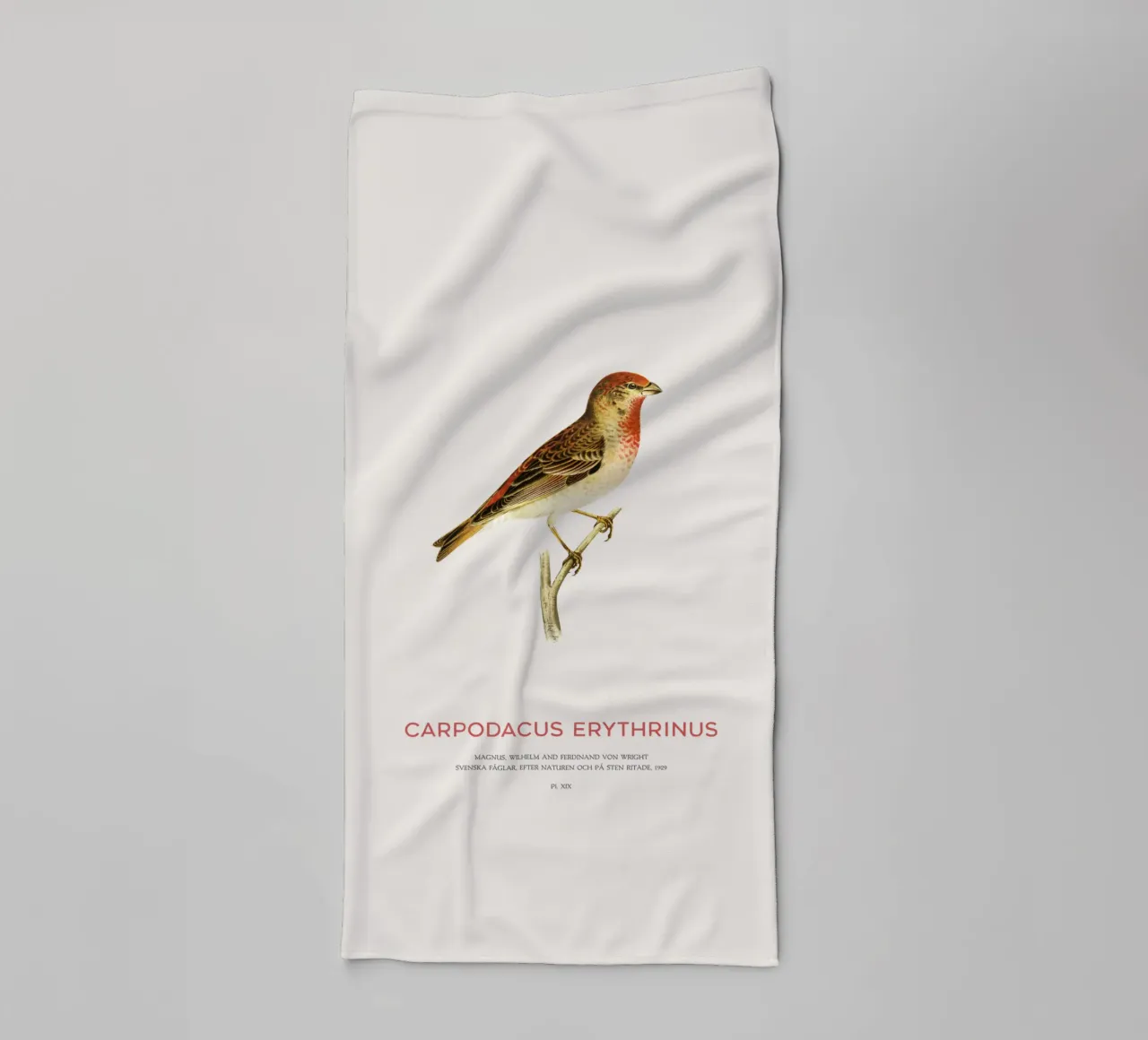 Scharlachrosengimpel oder Carpodacus Erythrinus Handtuch von Vintagrafica