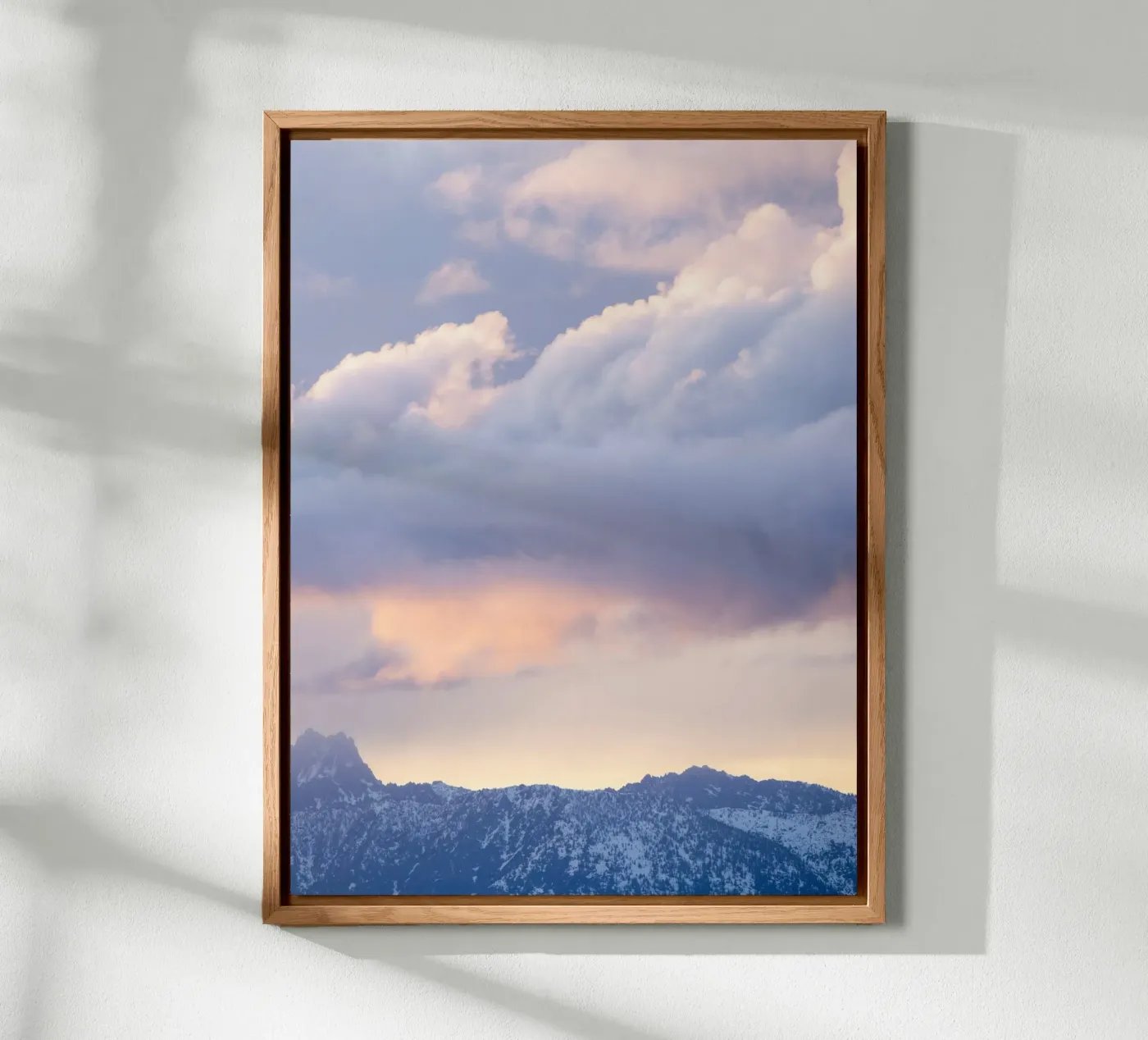 cloud mountain forex plate by marty