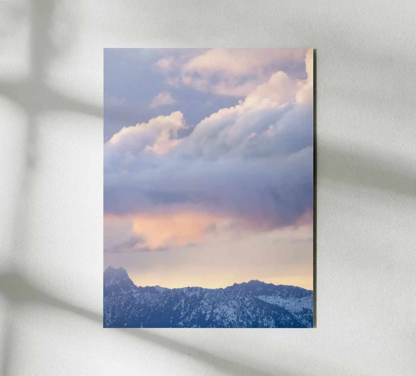 cloud mountain forex plate by marty