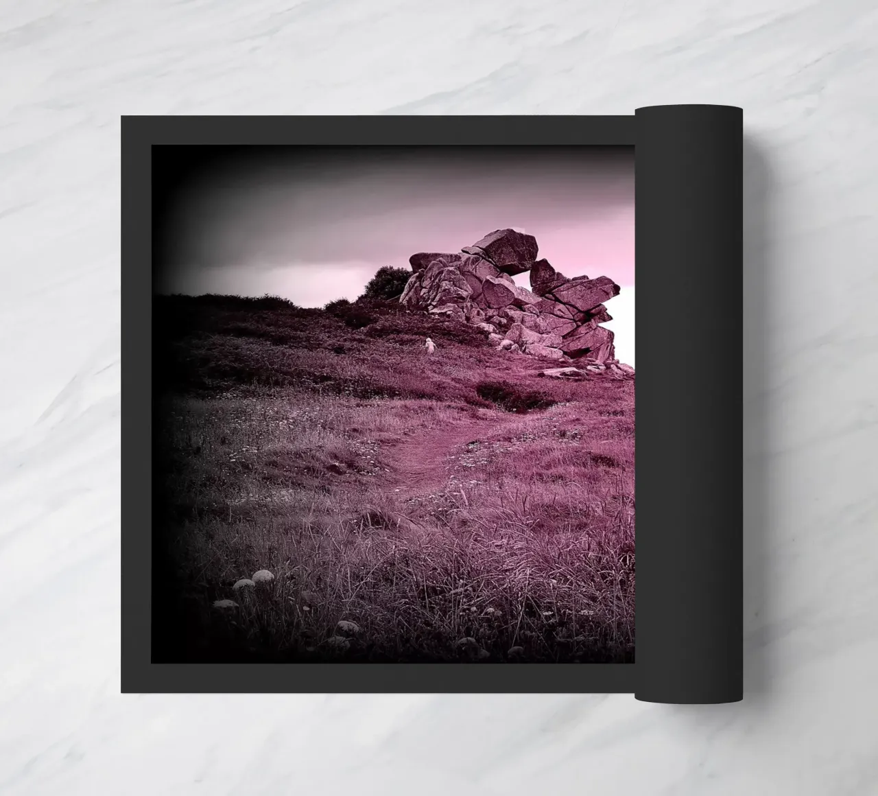 FAA29 zerbino da Thierry vobmann photography