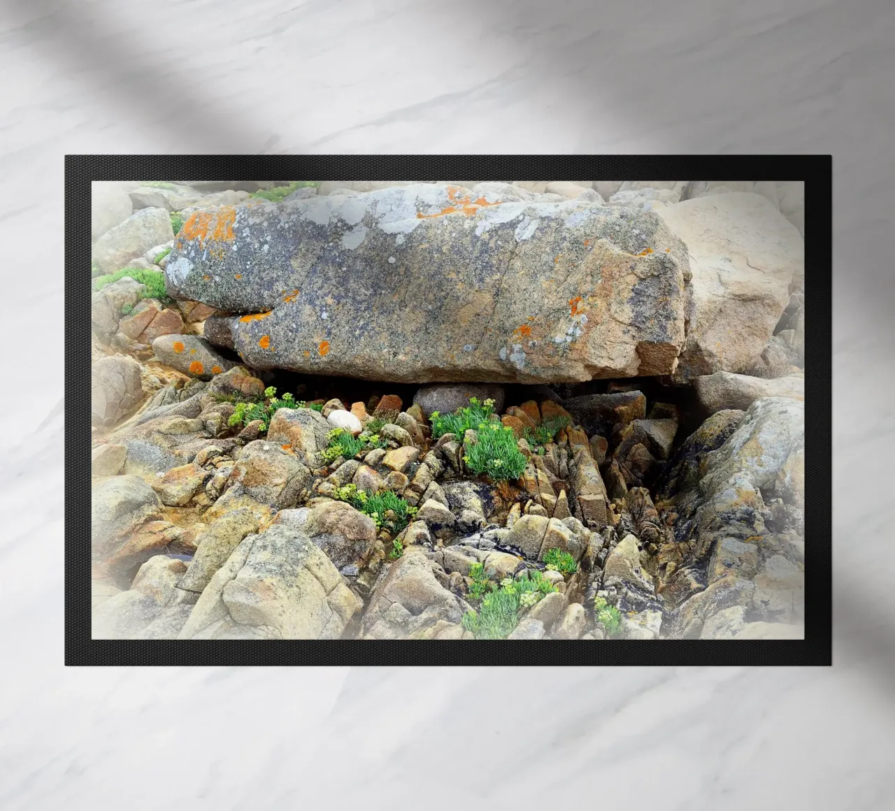 FAA30 zerbino da Thierry vobmann photography