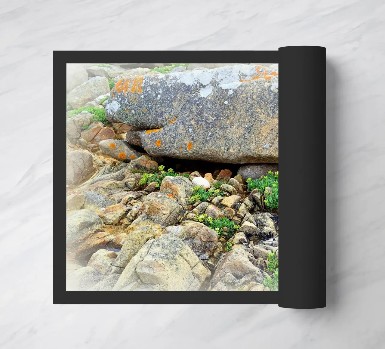 FAA30 zerbino da Thierry vobmann photography