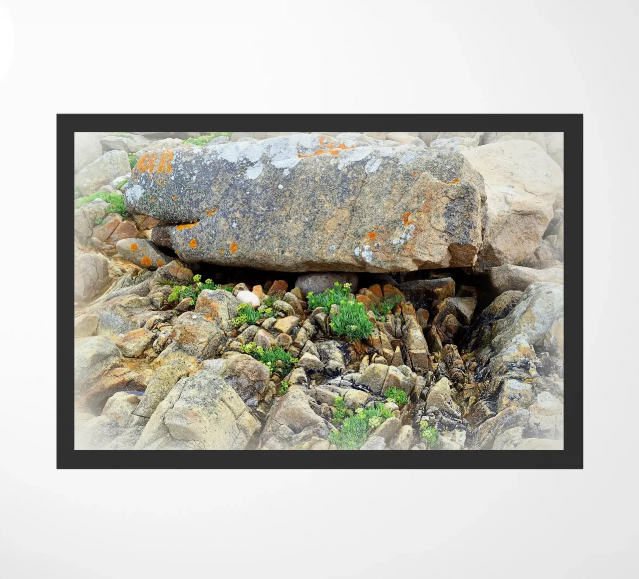 FAA30 zerbino da Thierry vobmann photography