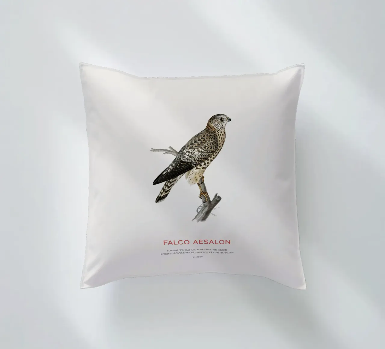 Merlin or Falco Aesalon decorative cushion by Vintagrafica
