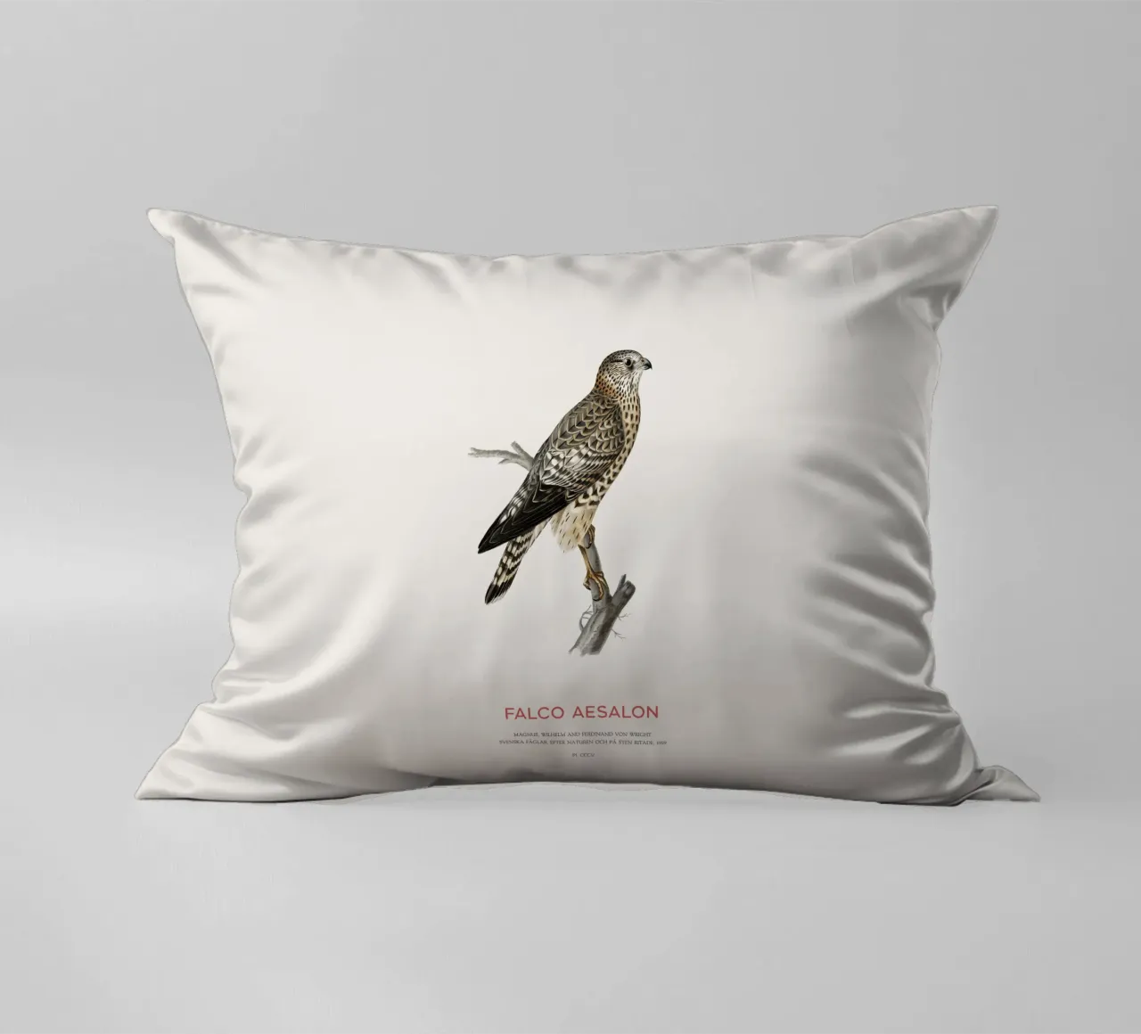 Merlin or Falco Aesalon decorative cushion by Vintagrafica