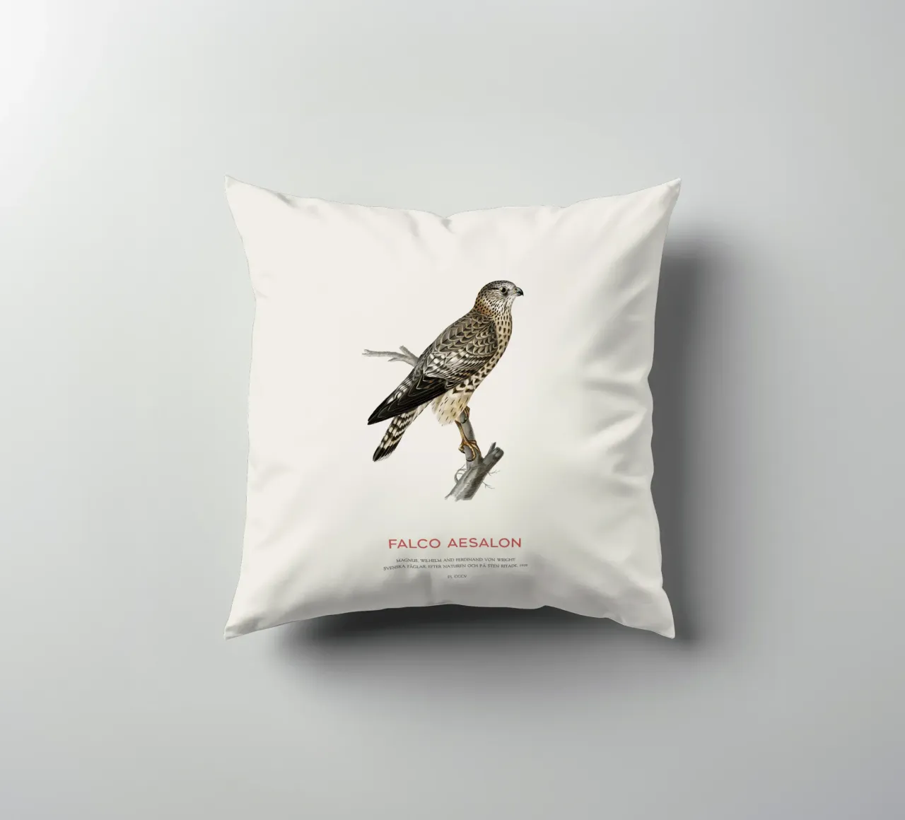 Merlin or Falco Aesalon decorative cushion by Vintagrafica