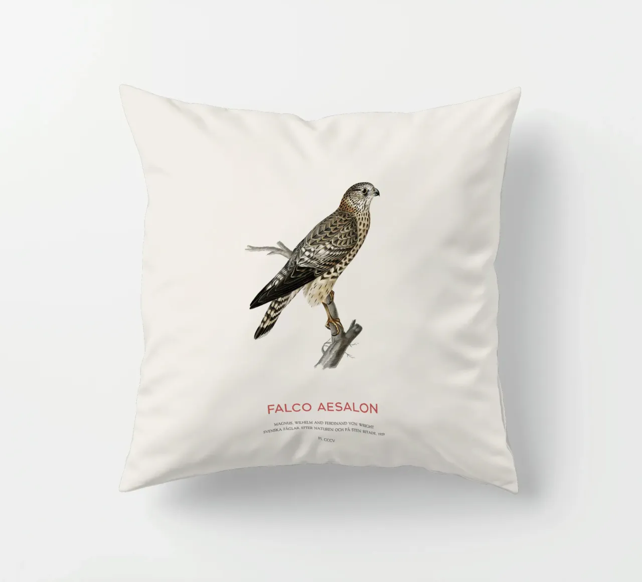 Merlin or Falco Aesalon decorative cushion by Vintagrafica
