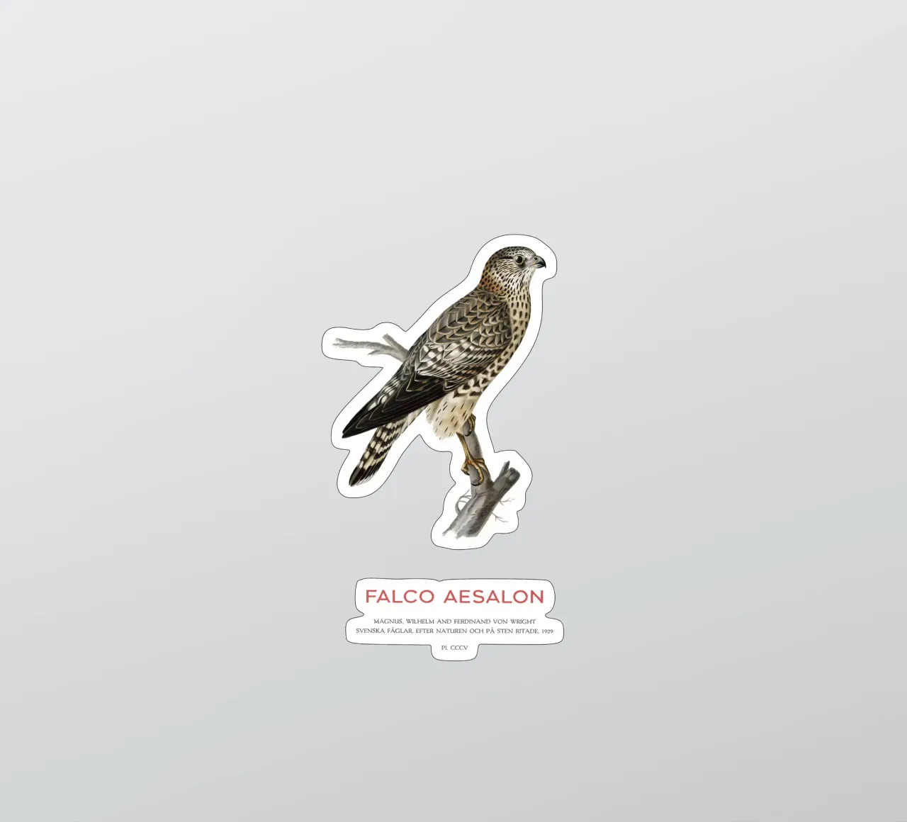 Merlin or Falco Aesalon sticker by Vintagrafica