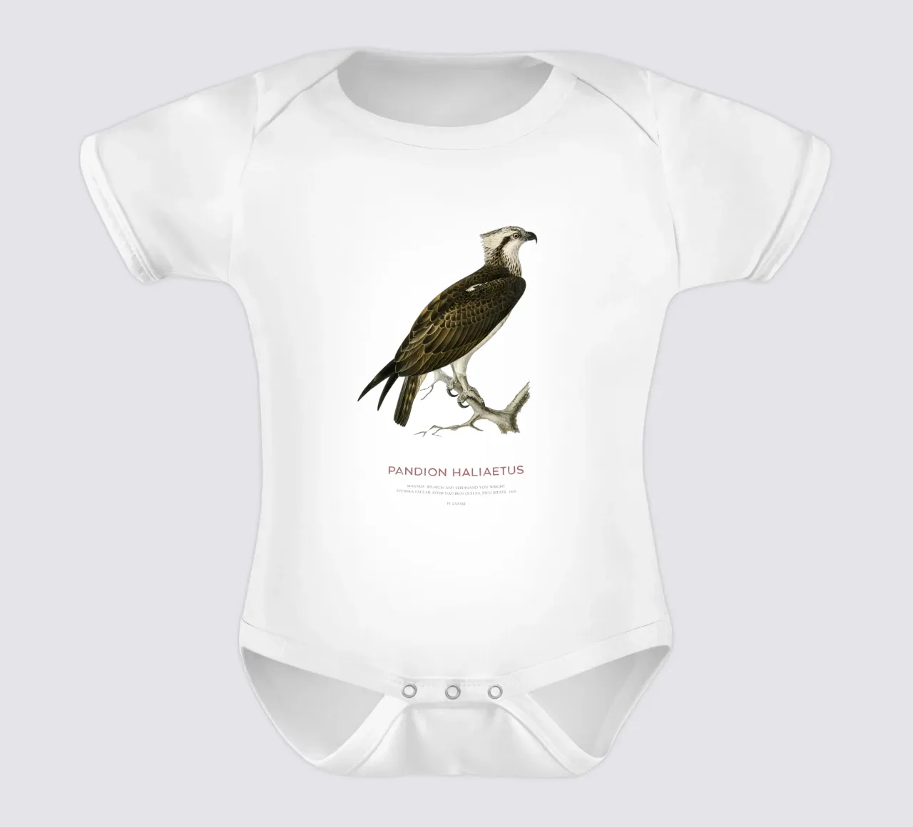 Fischadler oder Pandion haliaetus Kurzarm Babybody von Vintagrafica