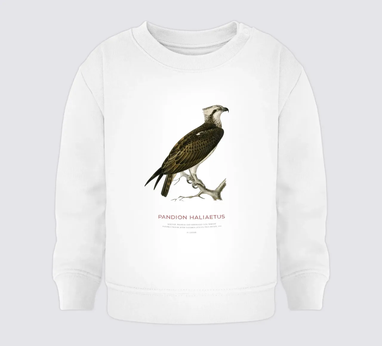 Falco pescatore o Pandion haliaetus felpa neonato da Vintagrafica
