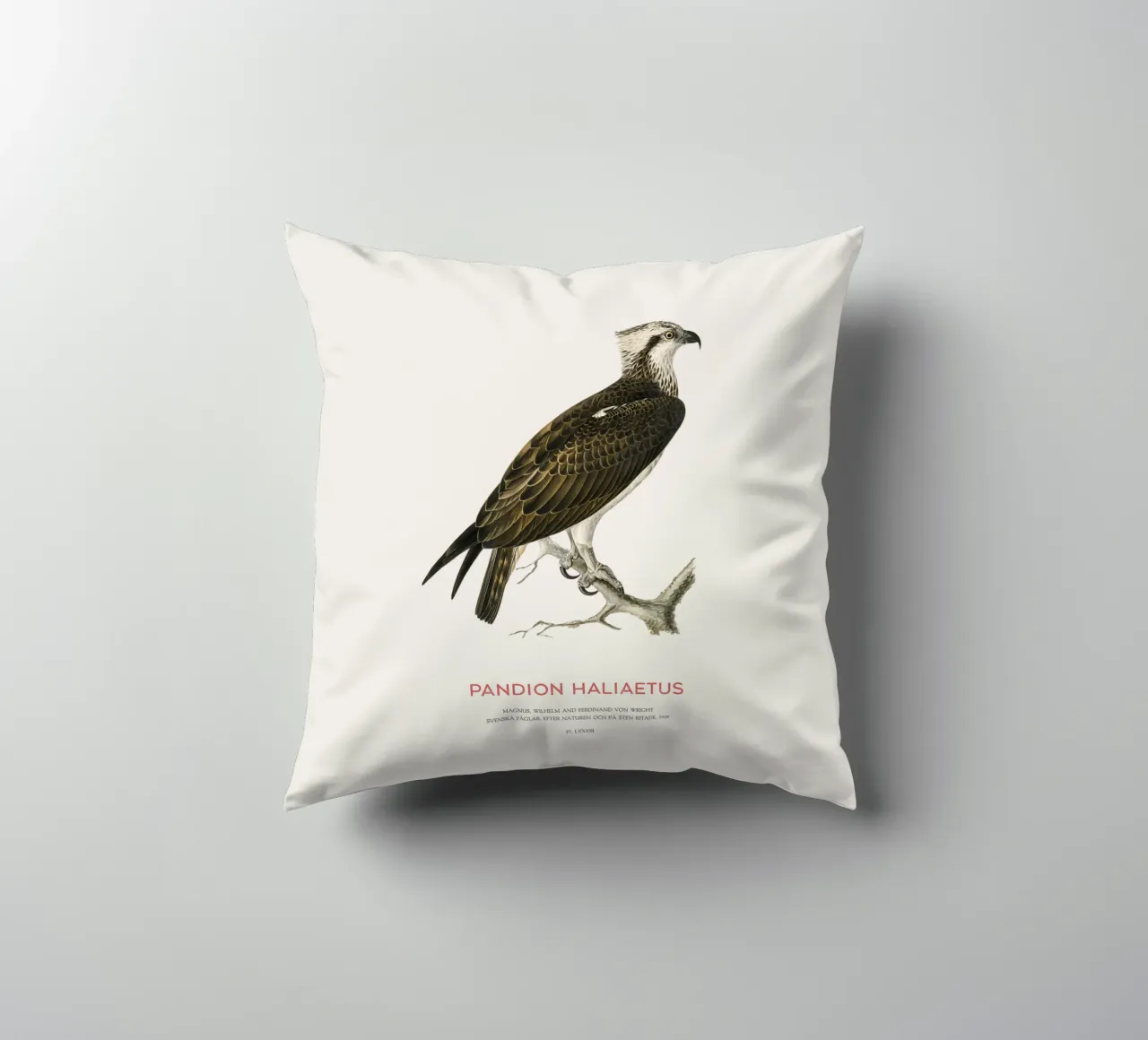 Falco pescatore o Pandion haliaetus cuscino da Vintagrafica