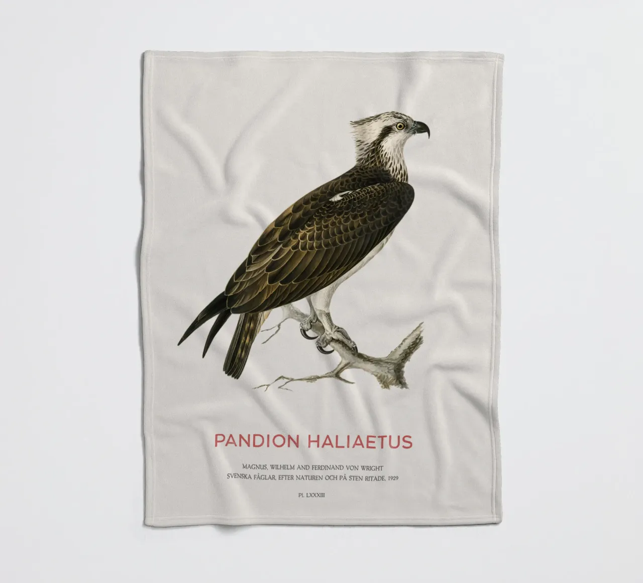 Fischadler oder Pandion haliaetus Fleecedecke von Vintagrafica