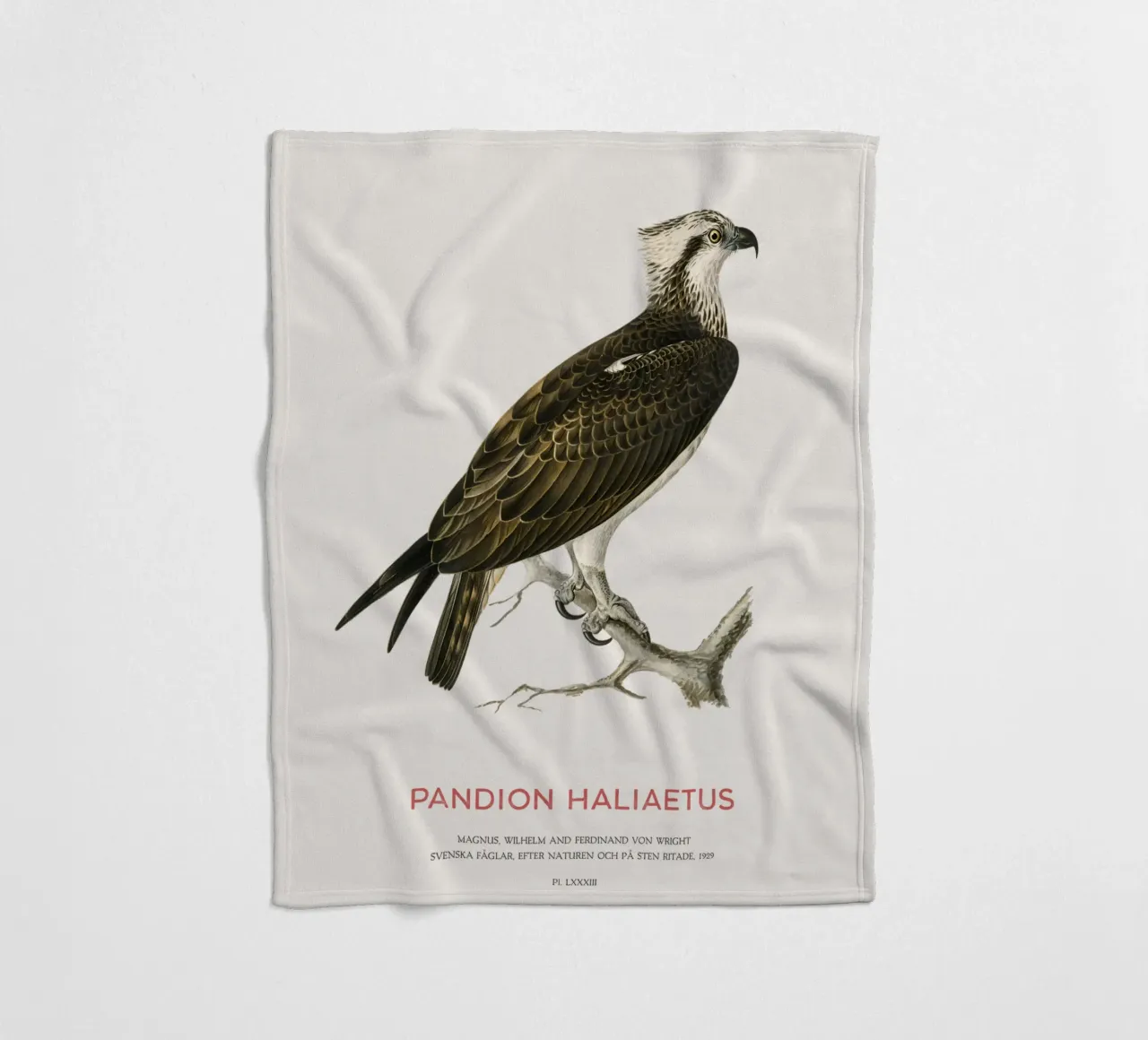 Fischadler oder Pandion haliaetus Fleecedecke von Vintagrafica