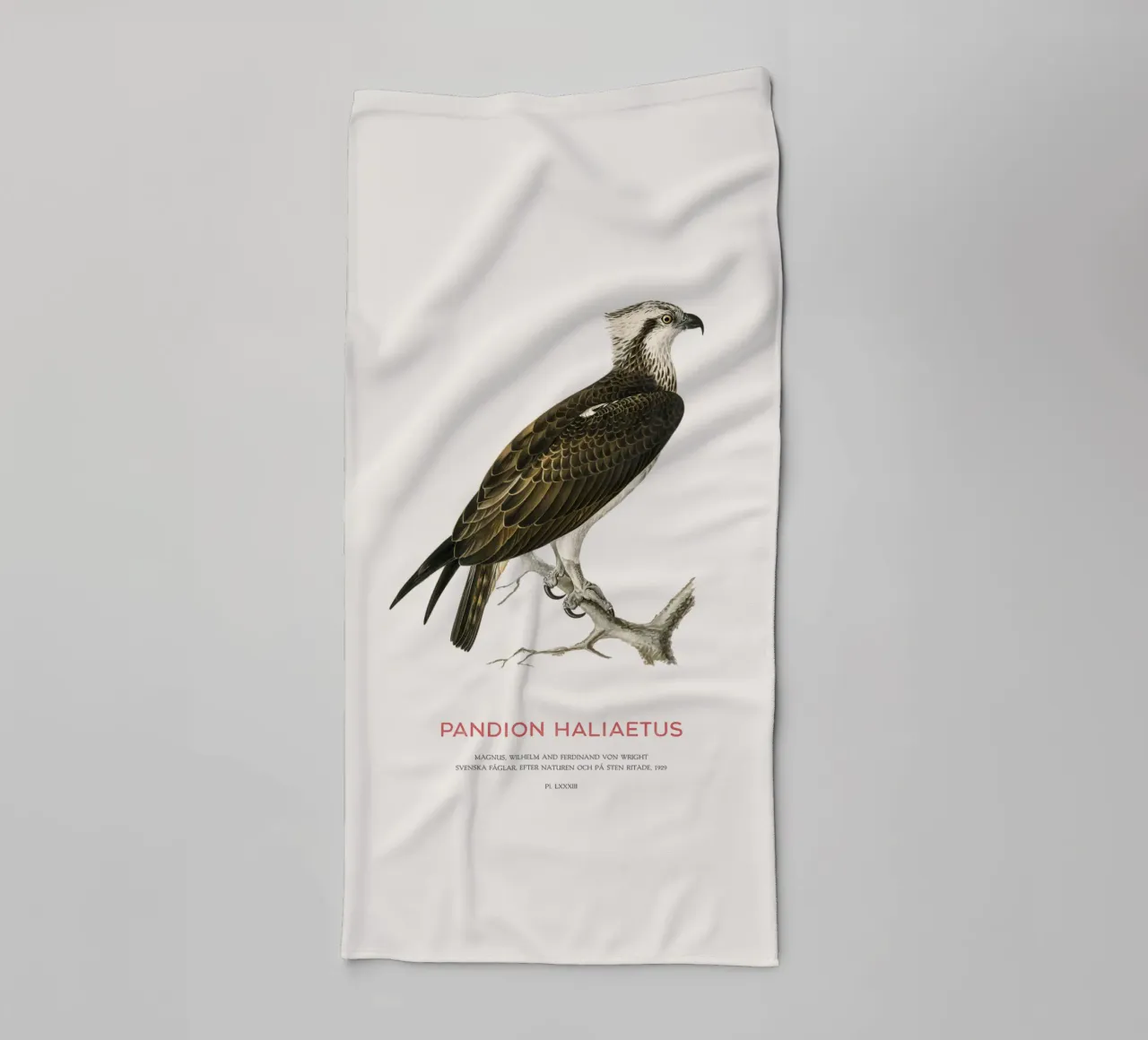 Fischadler oder Pandion haliaetus Handtuch von Vintagrafica