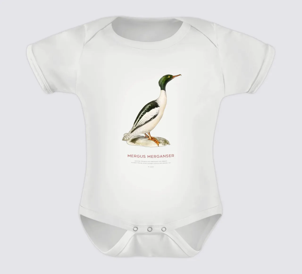 Gänsesäger oder Zwergsäger (Mergus merganser) Kurzarm Babybody von Vintagrafica