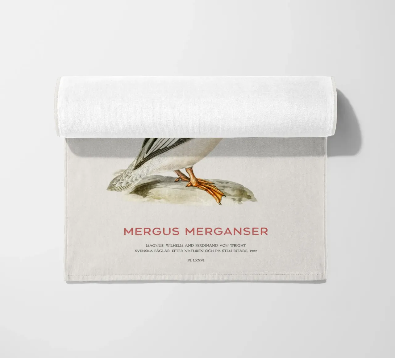 Mergus merganser o Mergus merganser telo mare da Vintagrafica