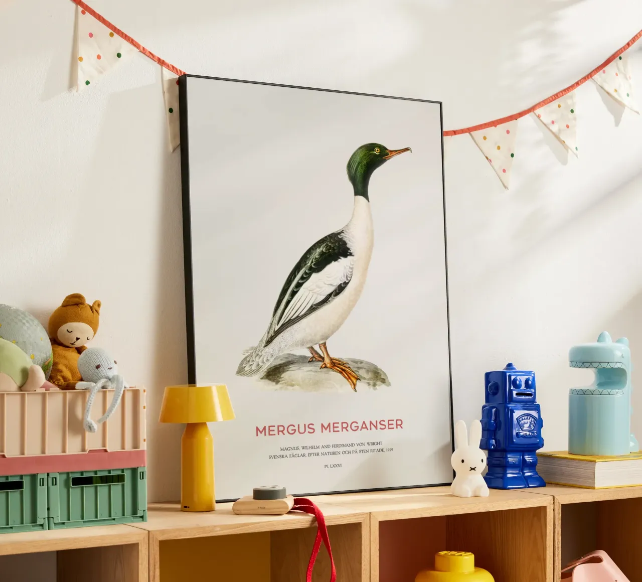 Mergus merganser o Mergus merganser alluminio dibond da Vintagrafica