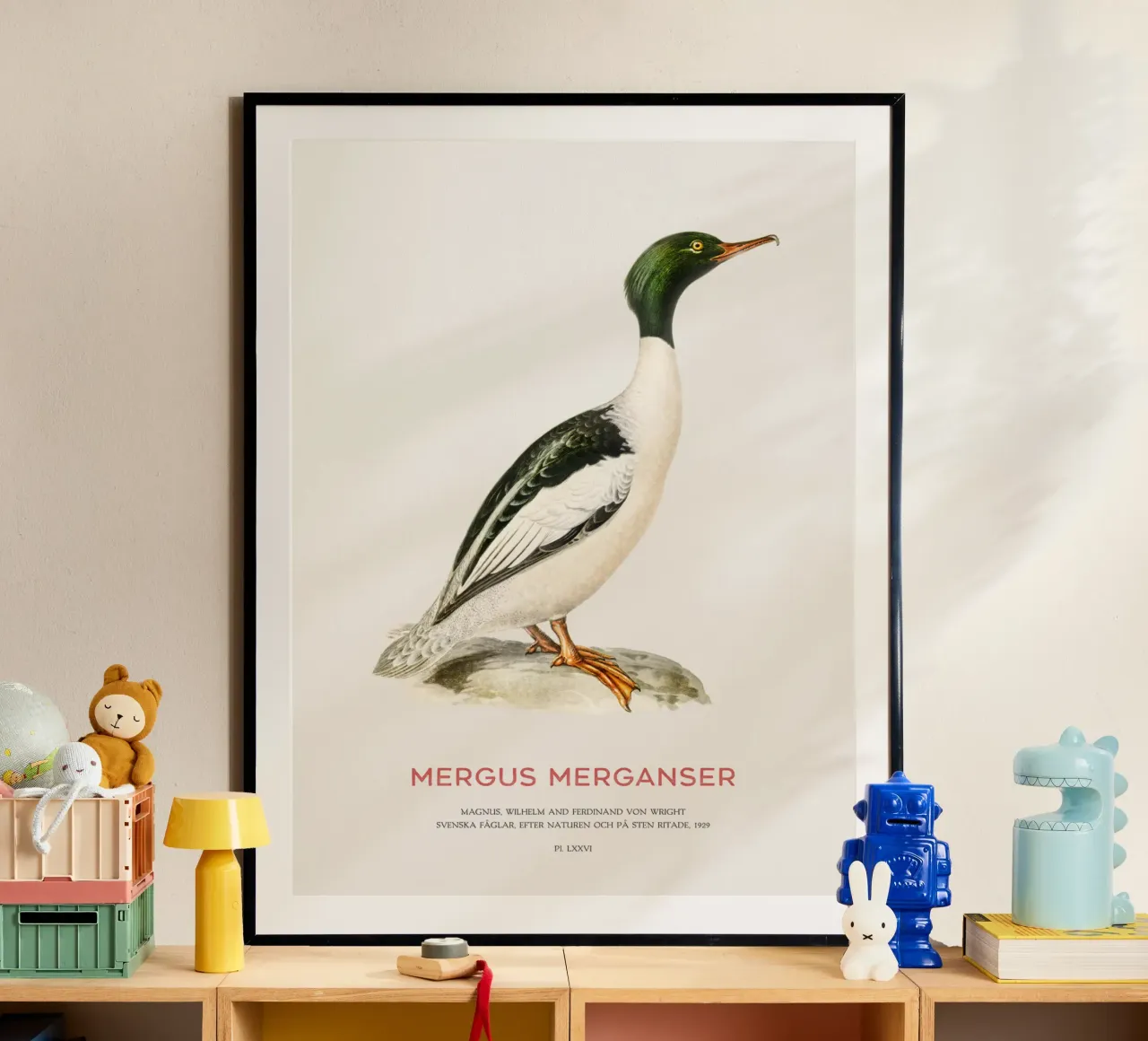 Gänsesäger oder Zwergsäger (Mergus merganser) Hahnemühle von Vintagrafica