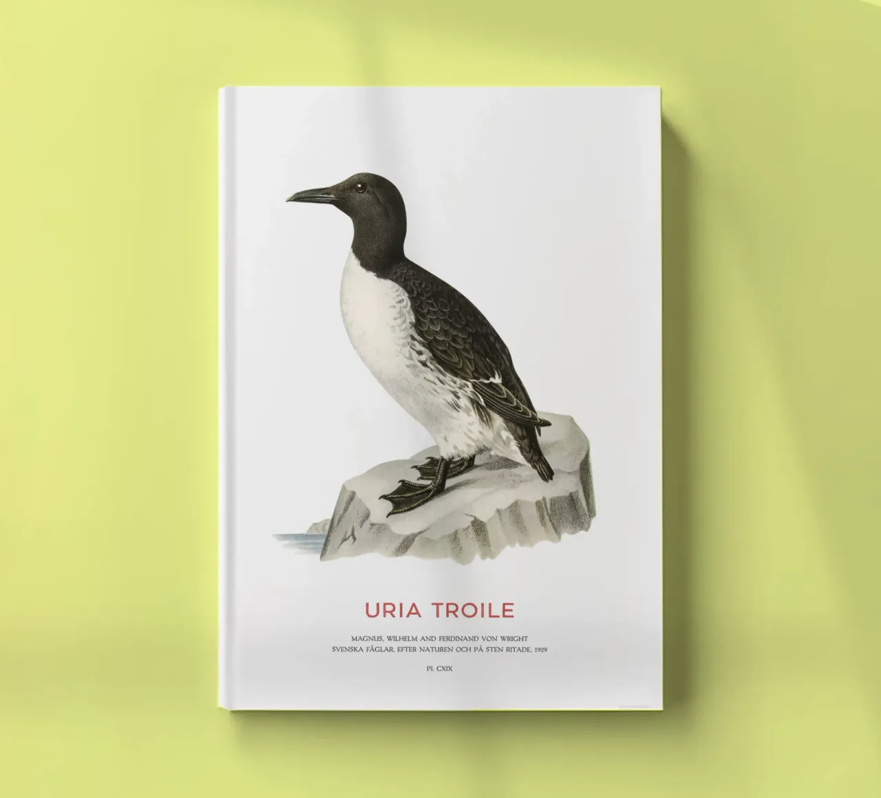 Common murre or Uria troile notebook by Vintagrafica