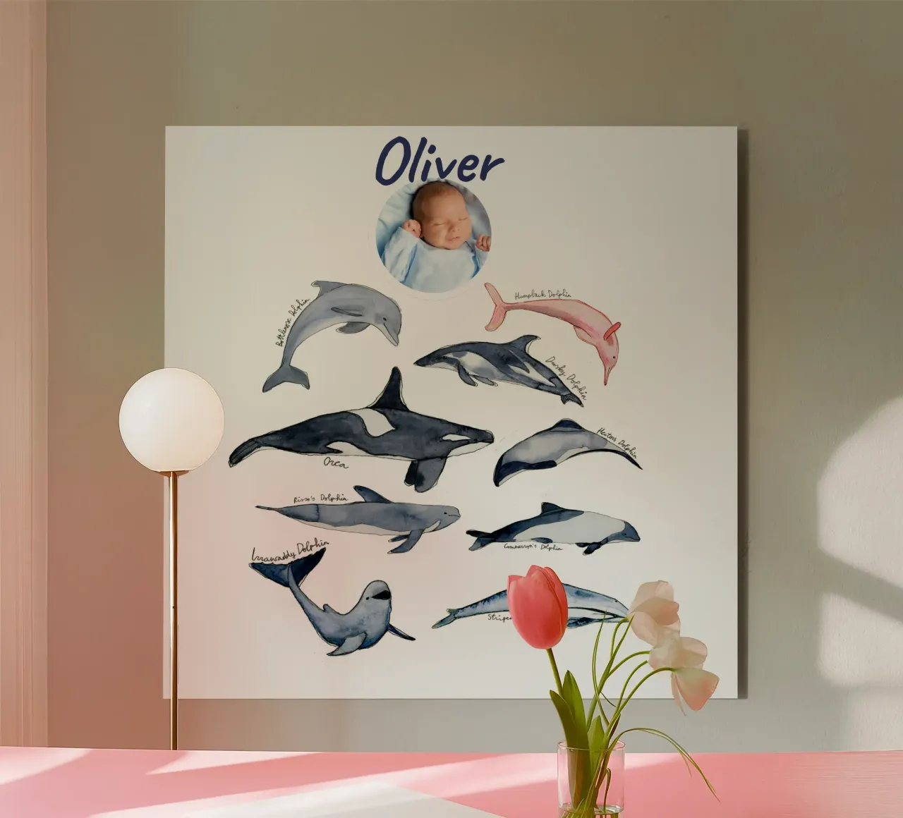 Tipi disegnati a mano di delfini in acquerello: design giocoso alluminio dibond da Patruschka’s Patterns