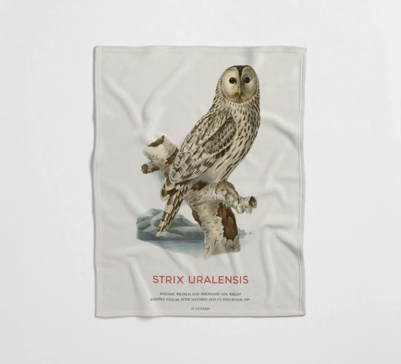 Gufo degli Urali o Strix uralensis coperta in pile da Vintagrafica