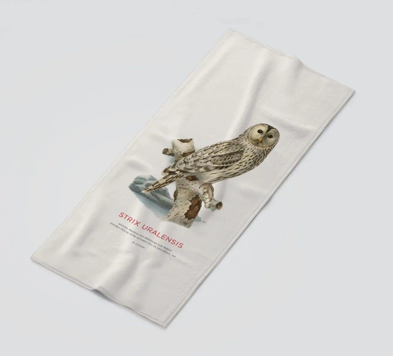 Gufo degli Urali o Strix uralensis telo mare da Vintagrafica