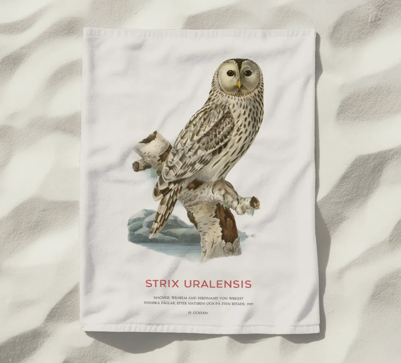 Gufo degli Urali o Strix uralensis telo mare da Vintagrafica