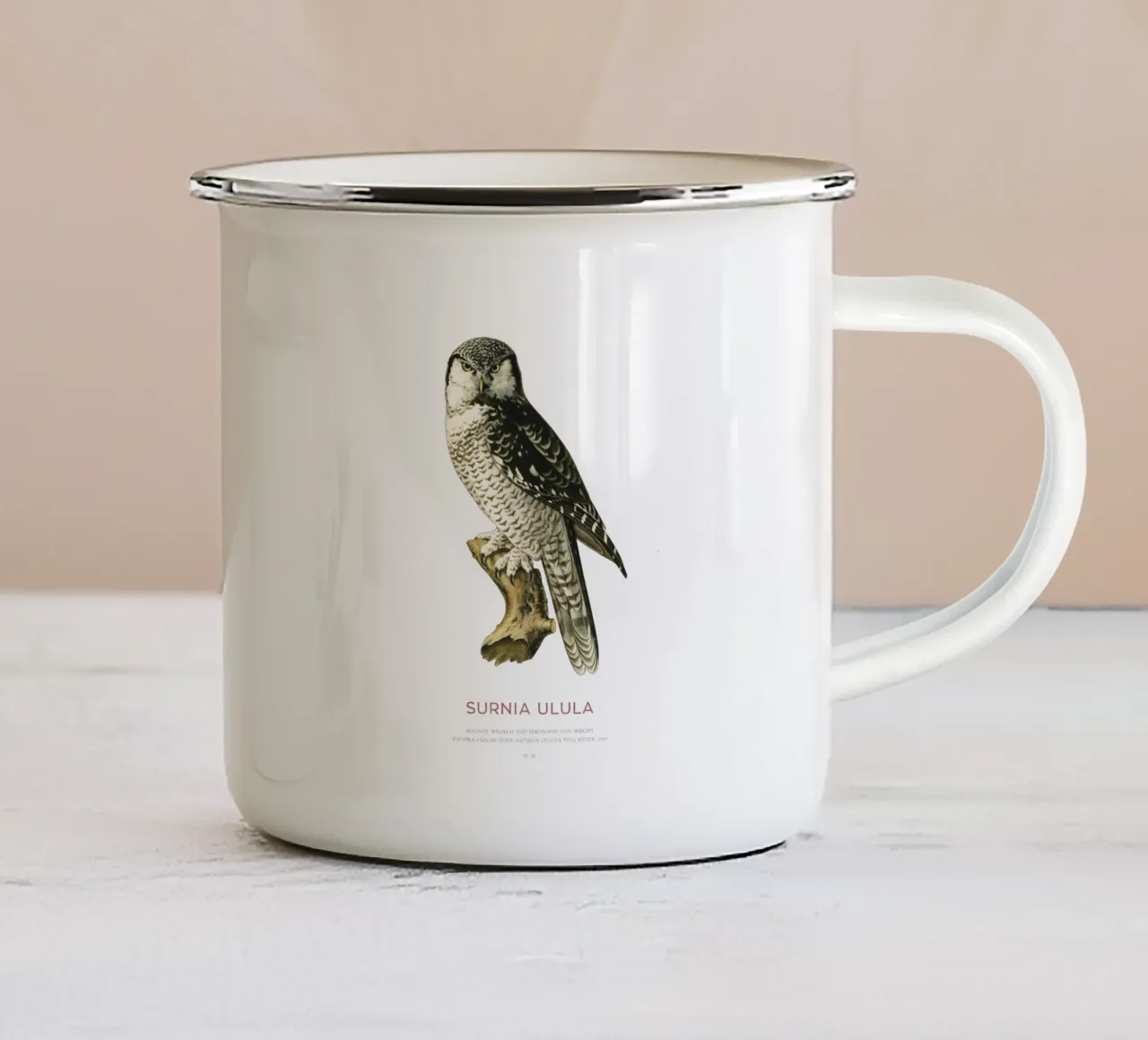 Falco settentrionale o Surnia ulula tazza in smalto da Vintagrafica