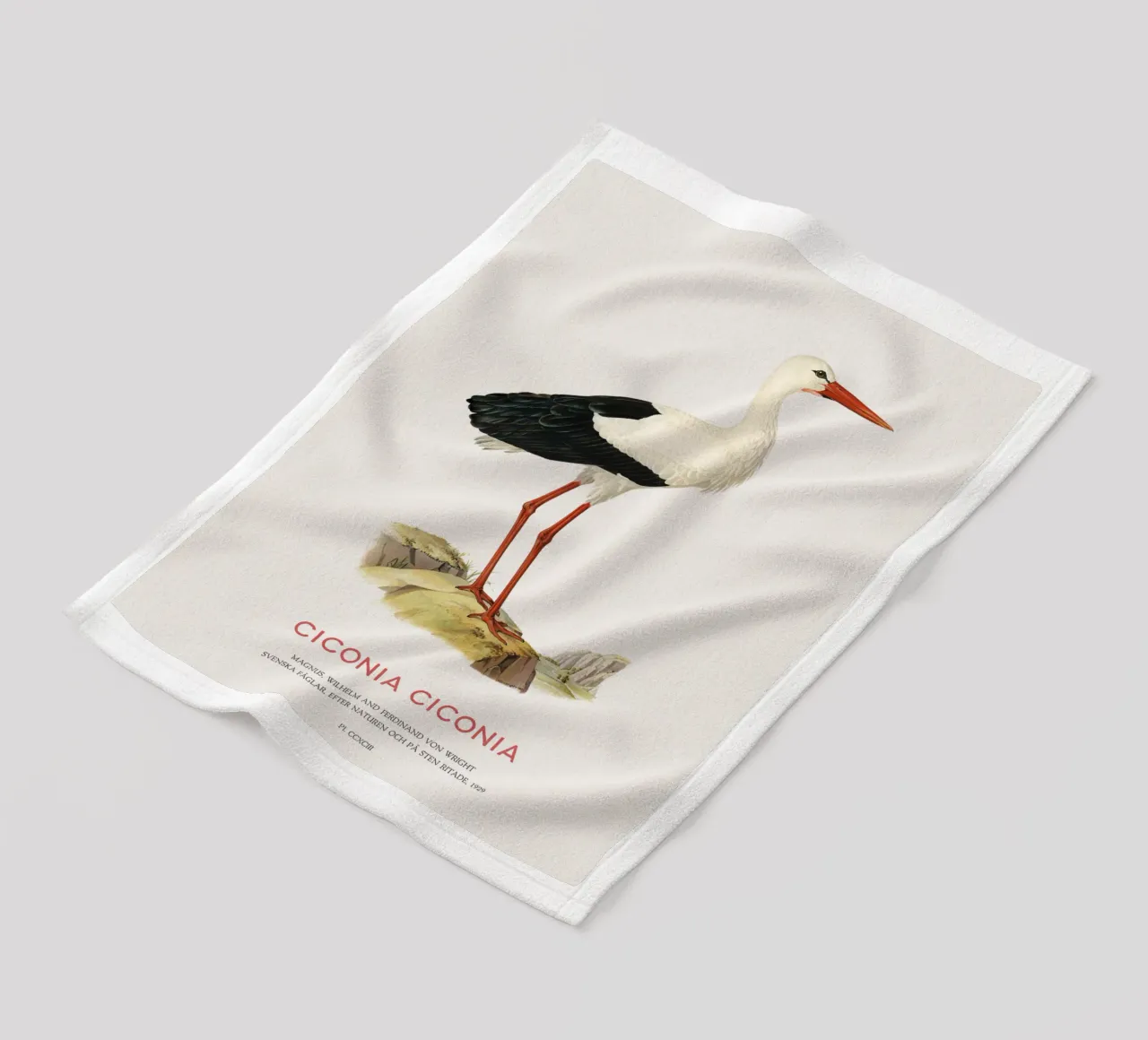 Weißstorch oder Ciconia ciconia Fleecedecke von Vintagrafica
