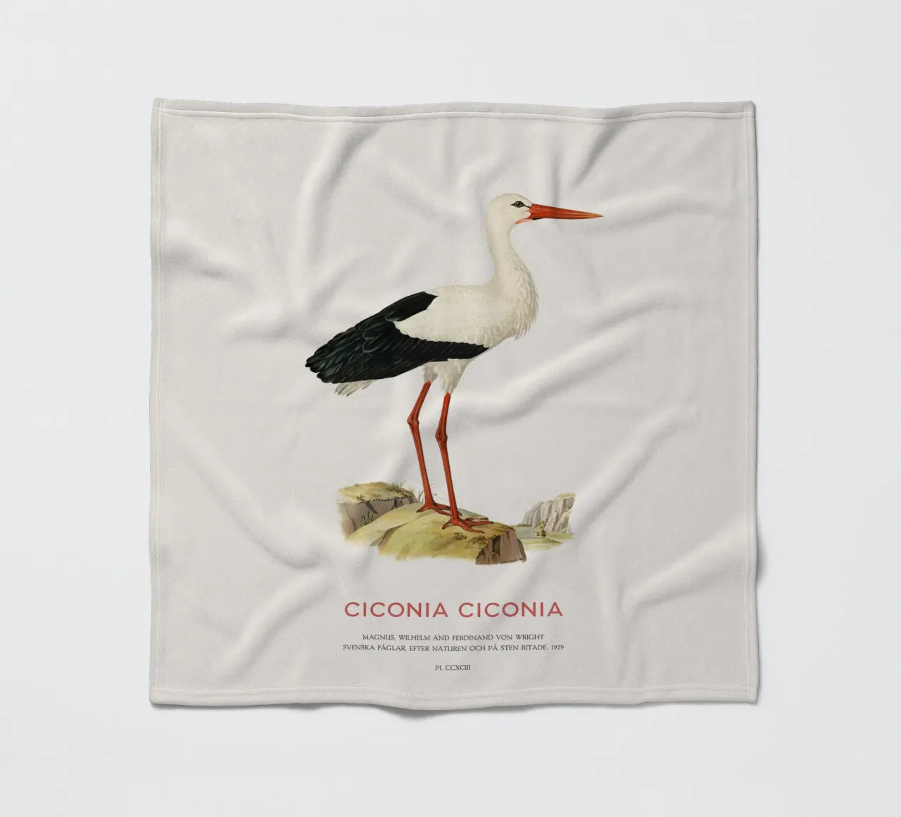 Weißstorch oder Ciconia ciconia Fleecedecke von Vintagrafica