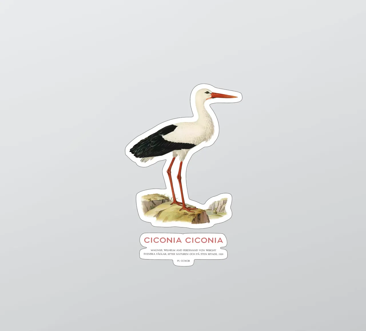 Weißstorch oder Ciconia ciconia Sticker von Vintagrafica