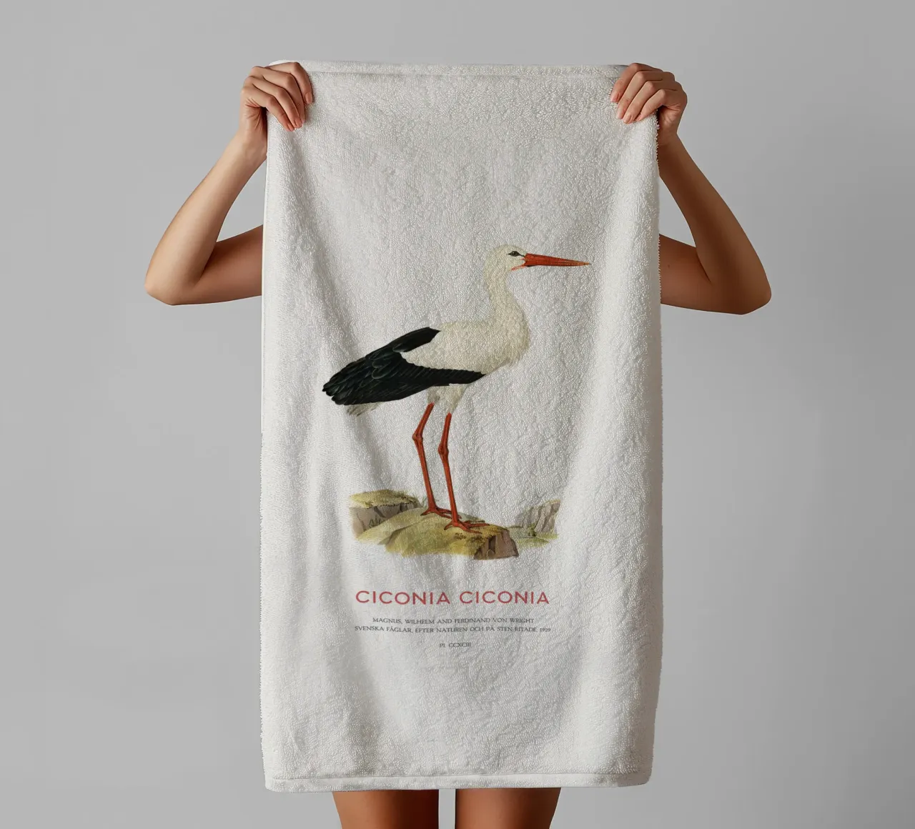 Weißstorch oder Ciconia ciconia Handtuch von Vintagrafica