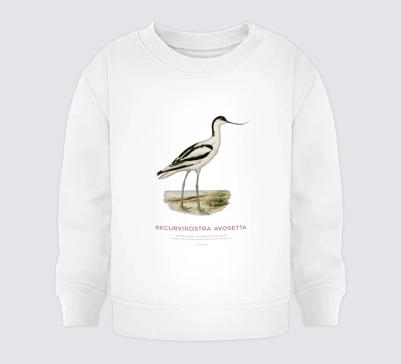 Avocetta o Recurvirostra avosetta felpa neonato da Vintagrafica