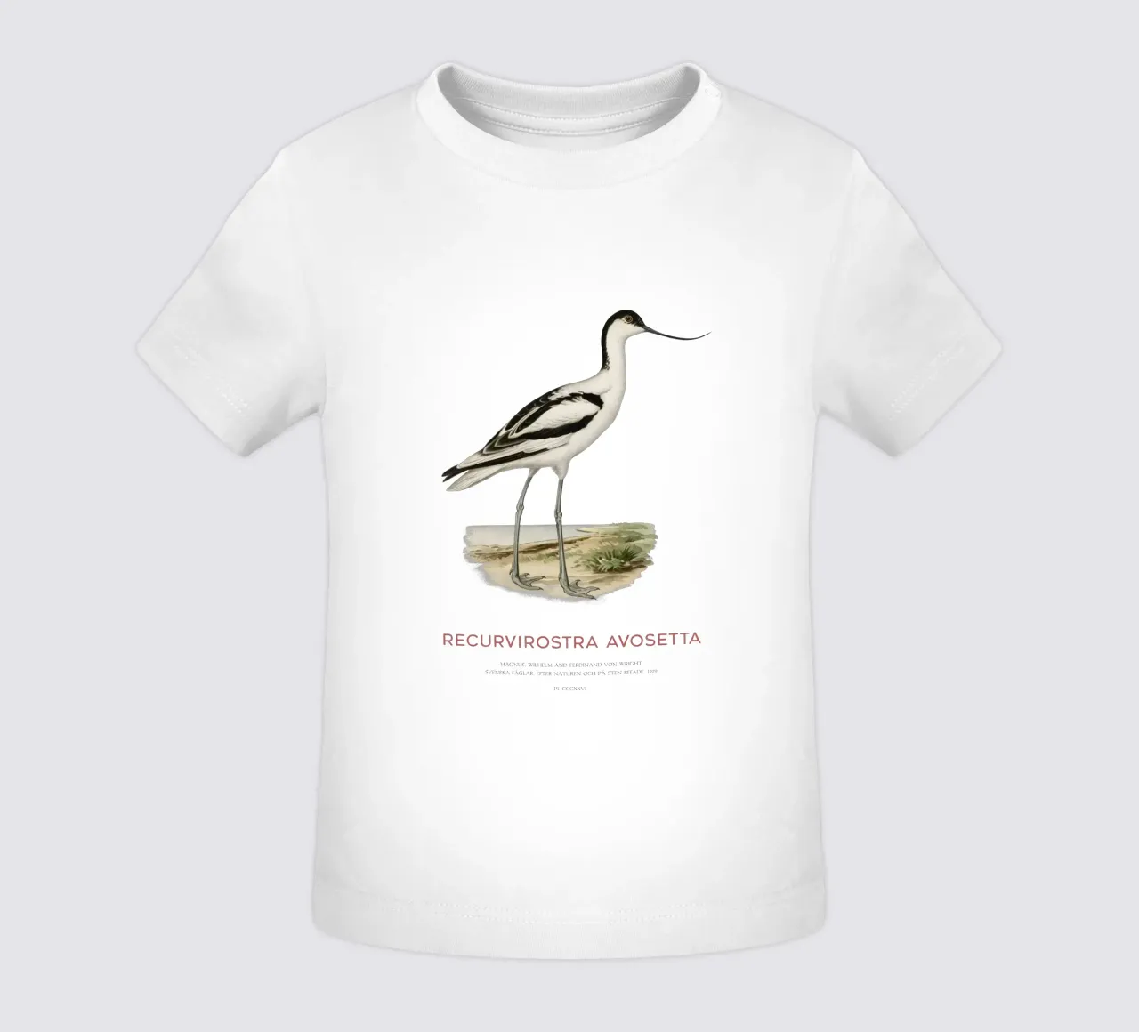 Avocetta o Recurvirostra avosetta maglietta neonato da Vintagrafica