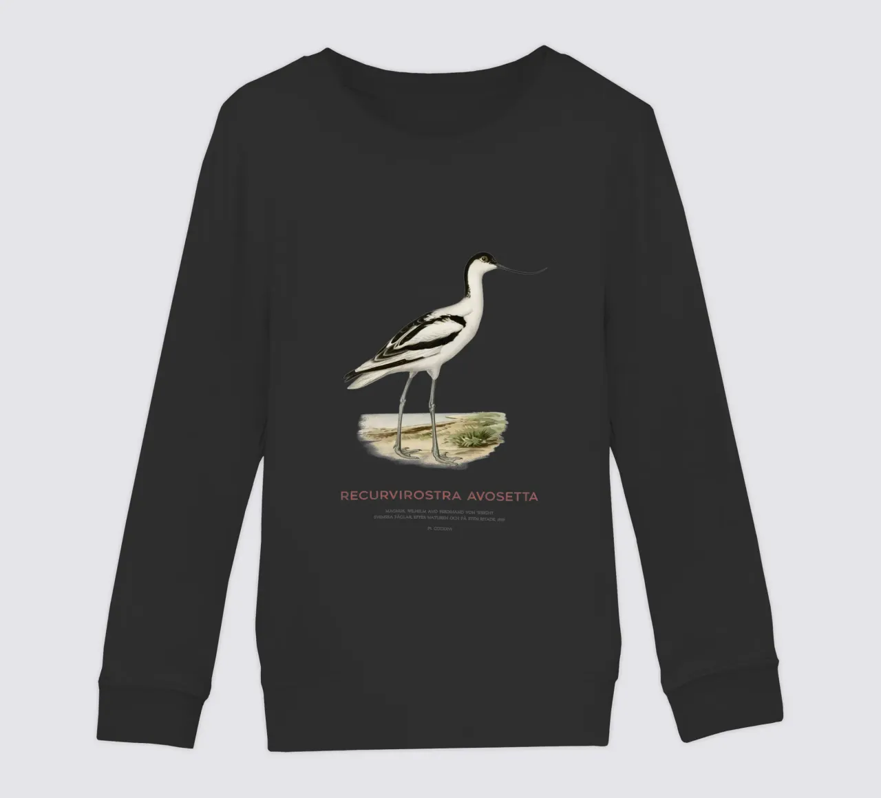 Avocetta o Recurvirostra avosetta felpa bambino da Vintagrafica