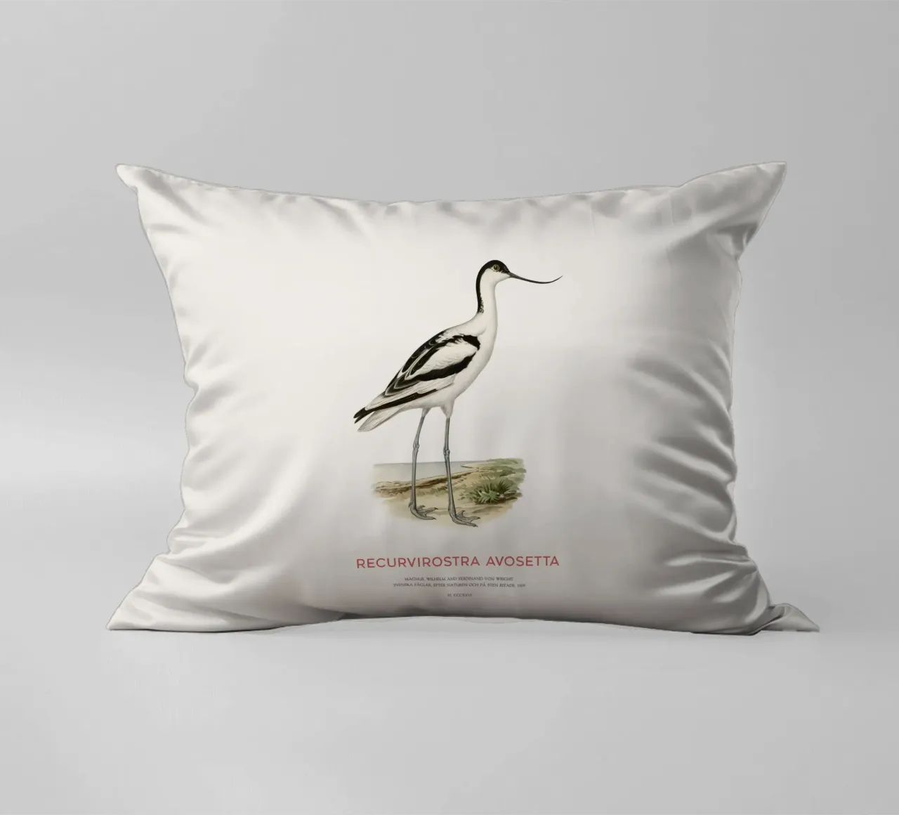 Avocetta o Recurvirostra avosetta cuscino da Vintagrafica