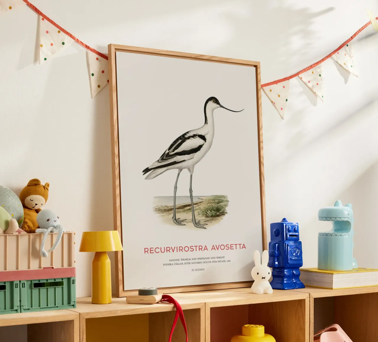 Avocetta o Recurvirostra avosetta plexiglass da Vintagrafica