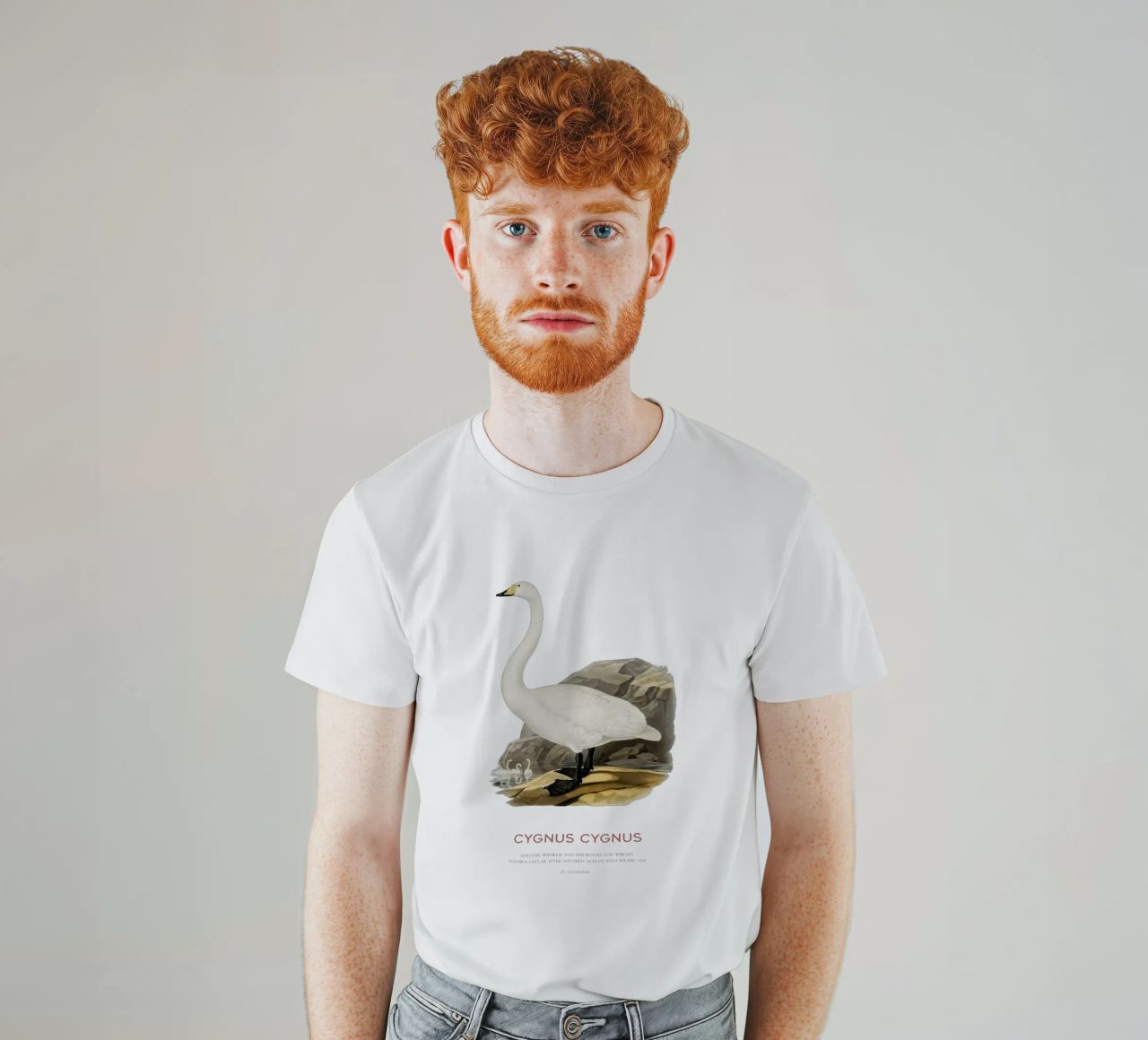 Singschwan oder Cygnus cygnus T-Shirt von Vintagrafica