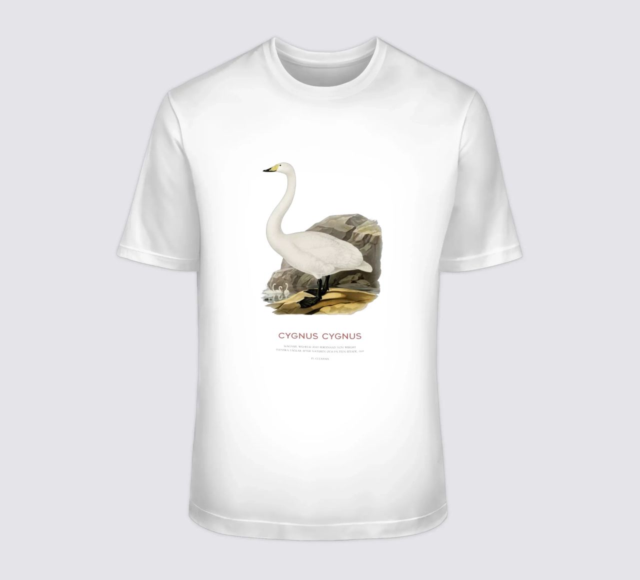 Singschwan oder Cygnus cygnus T-Shirt von Vintagrafica