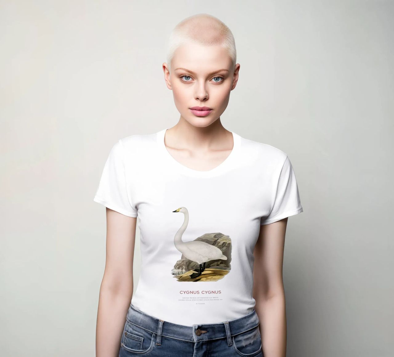 Singschwan oder Cygnus cygnus Frauen T-Shirt von Vintagrafica