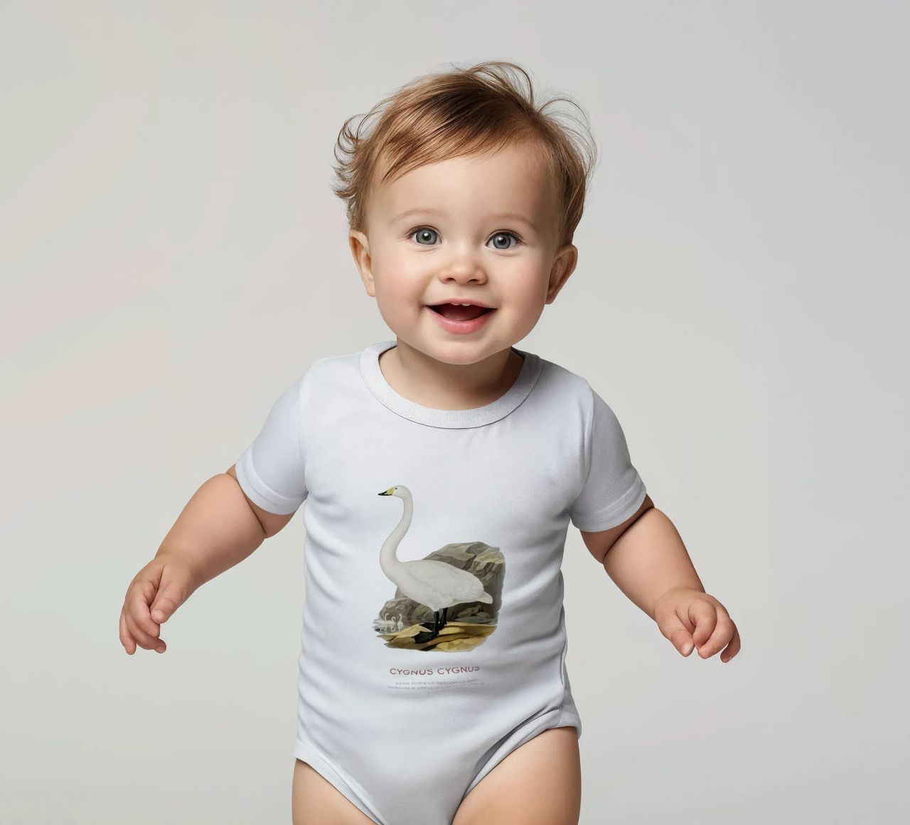 Cisne cantor o Cygnus cygnus body de bebé de Vintagrafica