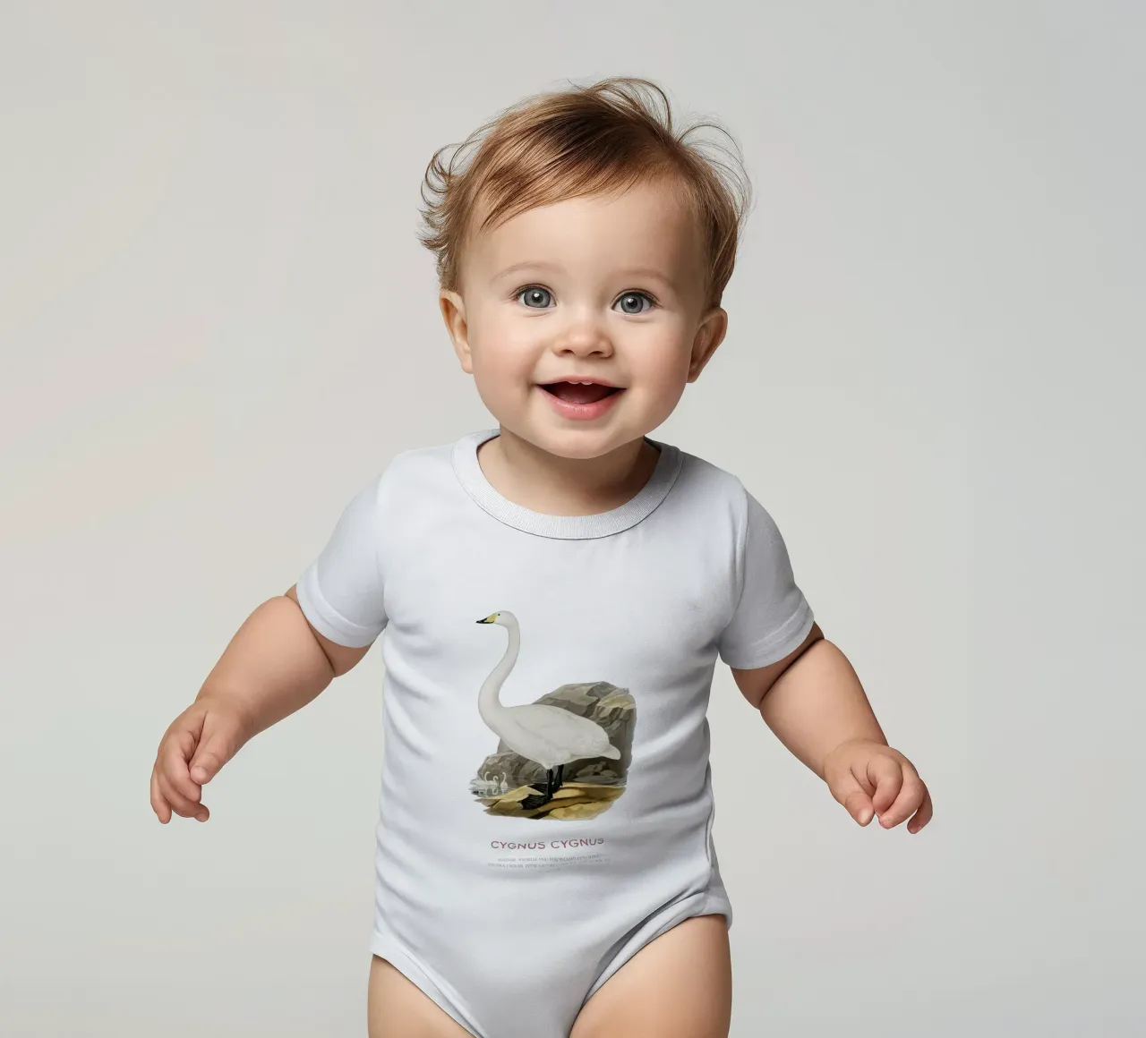 Cygne chanteur ou Cygnus cygnus body bébé de Vintagrafica
