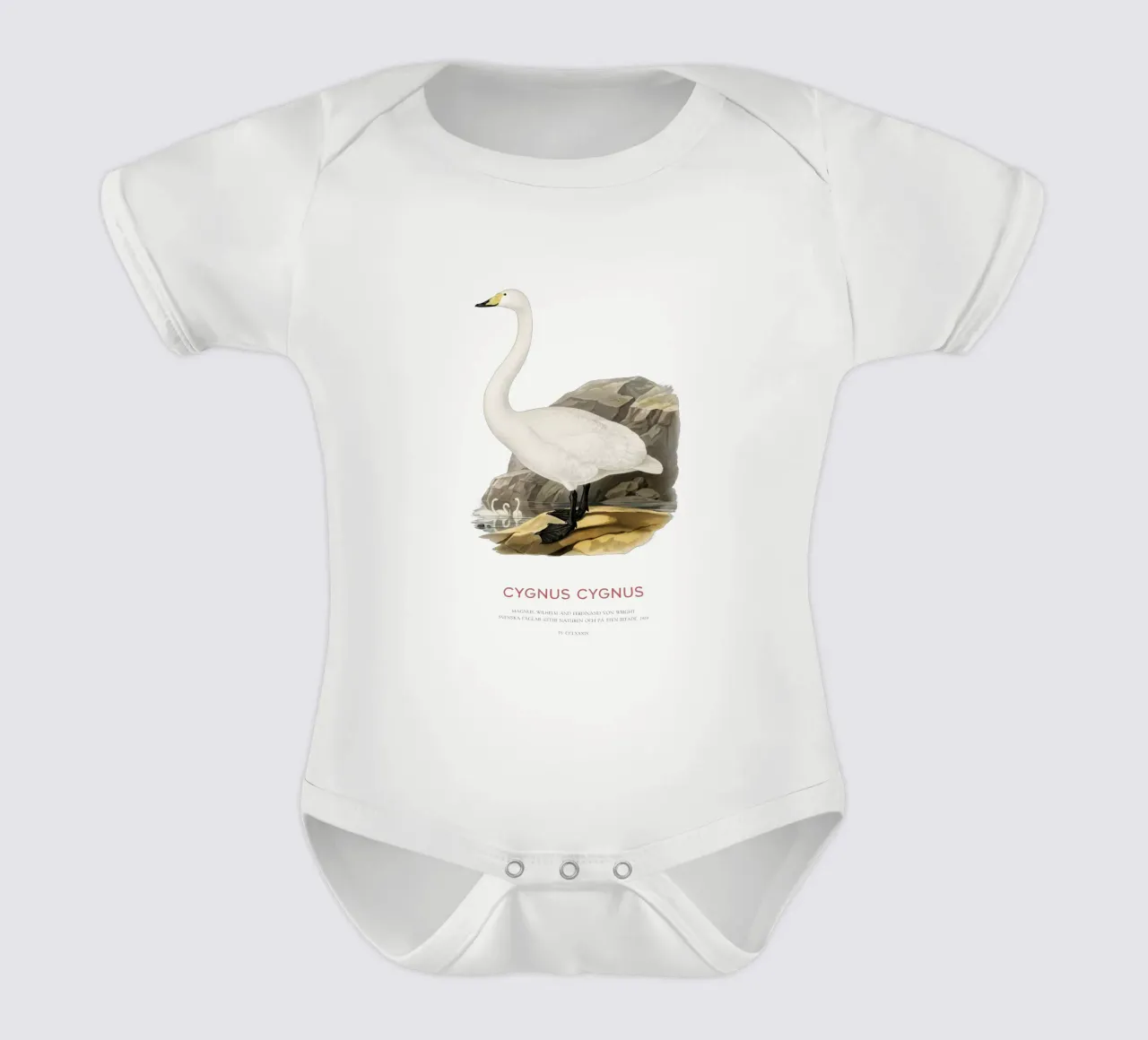 Singschwan oder Cygnus cygnus Kurzarm Babybody von Vintagrafica