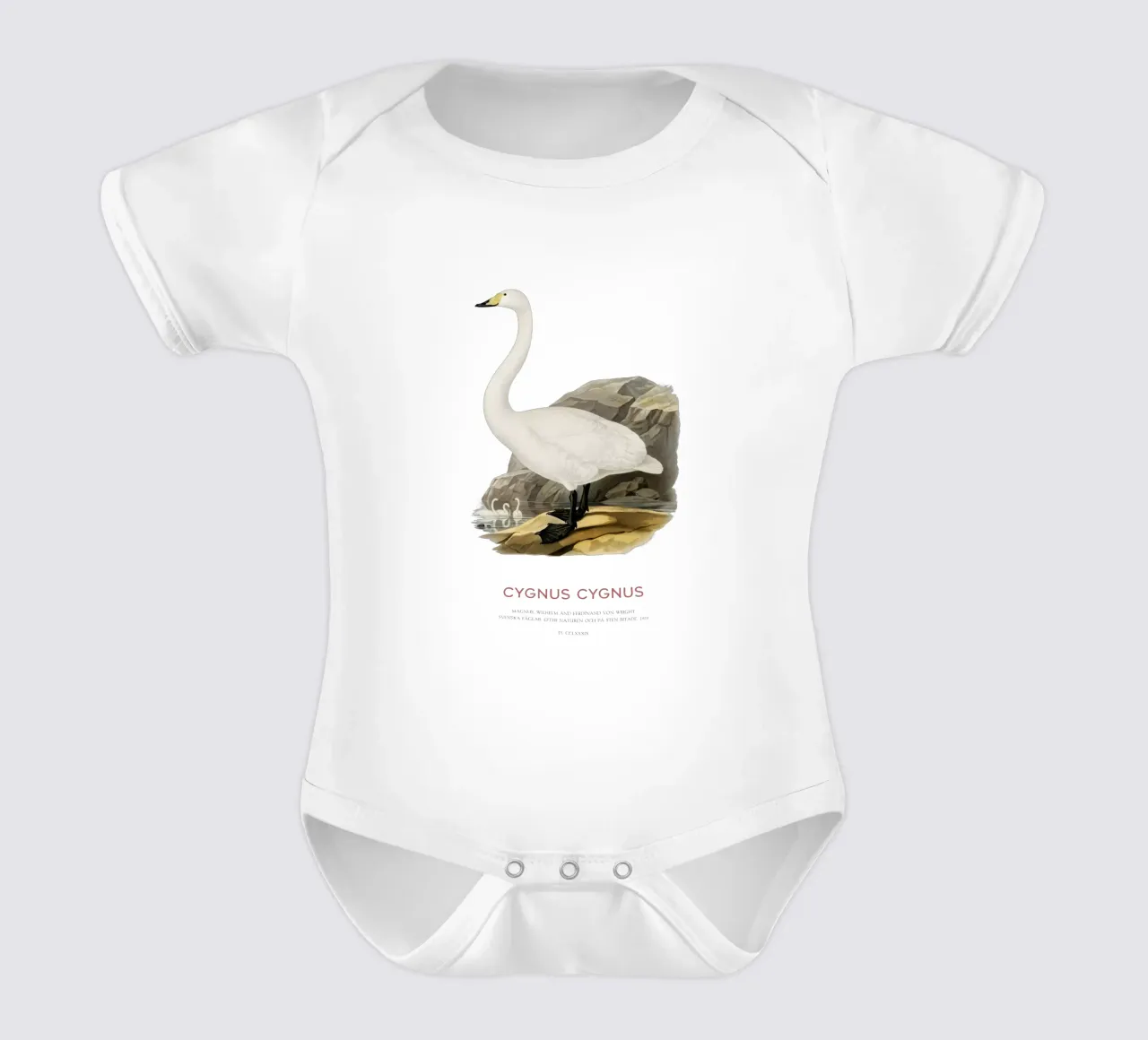 Singschwan oder Cygnus cygnus Kurzarm Babybody von Vintagrafica